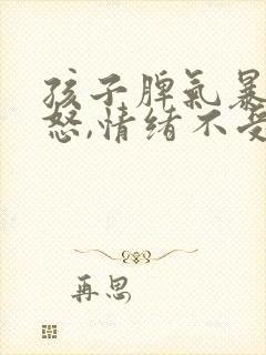 孩子脾气暴躁易怒,情绪不受控制