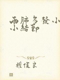 两肺多发小及微小结节封面