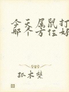 今天属鼠打牌坐哪个方位好