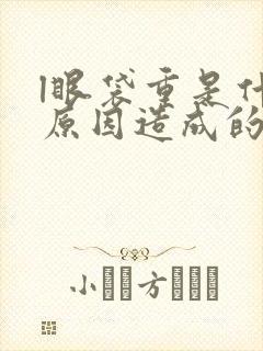 l眼袋重是什么原因造成的封面