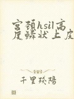 宫颈hsil高度鳞状上皮内病变