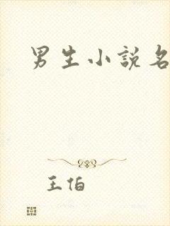 男生小说名字