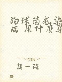 狗球菌感染皮肤病 用什么药封面