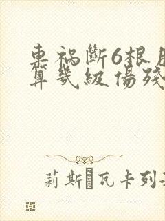 车祸断6根肋骨算几级伤残