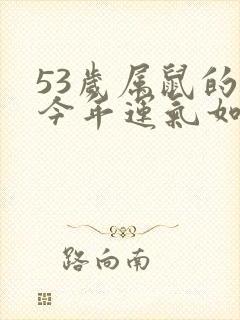 53岁属鼠的人今年运气如何呢