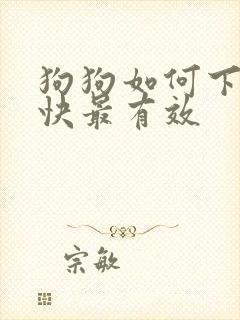 狗狗如何下奶最快最有效