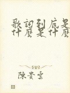 歌词到底是为了什么是什么歌封面