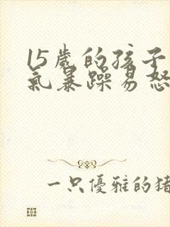 15岁的孩子脾气暴躁易怒