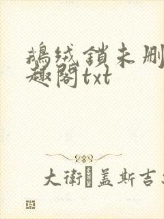 鹅绒锁未删除笔趣阁txt