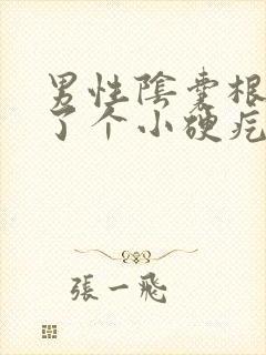 男性阴囊根部长了个小硬疙瘩