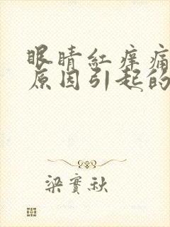 眼睛红痒痛什么原因引起的