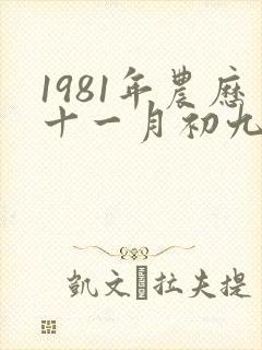 1981年农历十一月初九是什么星座