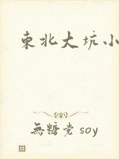 东北大坑小说