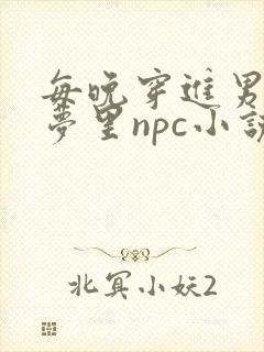 每晚穿进男神的梦里npc小说封面