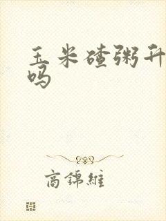 玉米碴粥升血糖吗封面