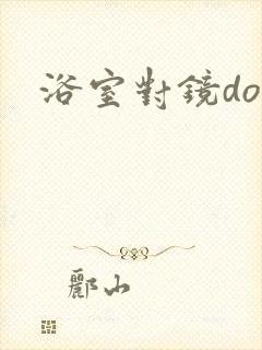 浴室对镜doi