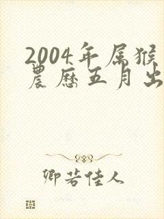 2004年属猴农历五月出生的人命运