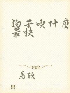 狗子吃什么下奶最快封面