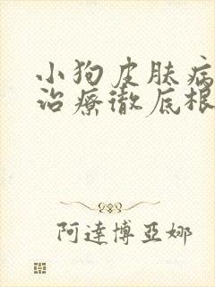 小狗皮肤病怎么治疗彻底根除封面