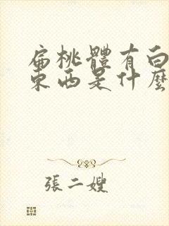扁桃体有白色的东西是什么