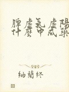 脾虚气虚阳虚吃什么中成药