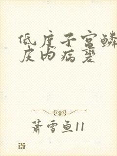 低度子宫鳞状上皮内病变