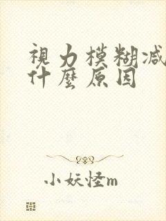 视力模糊减退是什么原因