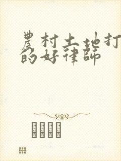农村土地打官司的好律师封面