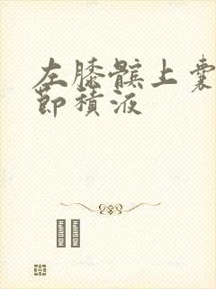 左膝髌上囊及关节积液
