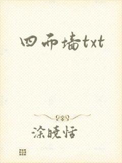 四面墙txt