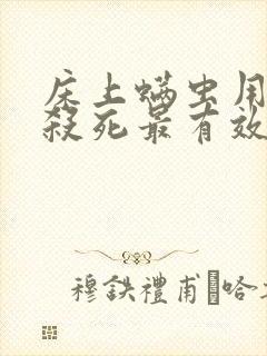 床上螨虫用什么杀死最有效封面