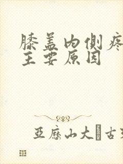 膝盖内侧疼痛的主要原因