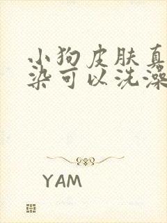 小狗皮肤真菌感染可以洗澡吗