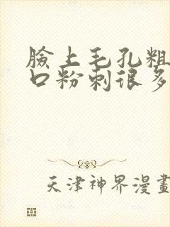 脸上毛孔粗大闭口粉刺很多封面