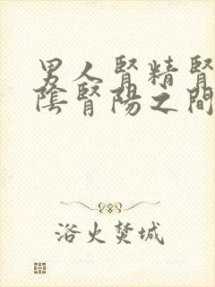 男人肾精肾气肾阴肾阳之间的关系是封面