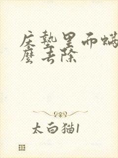 书籍封面