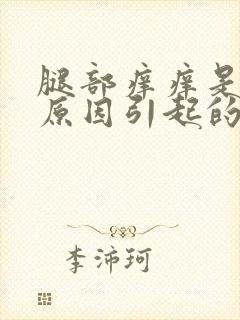 腿部痒痒是什么原因引起的