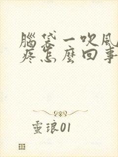 脑袋一吹风就头疼怎么回事