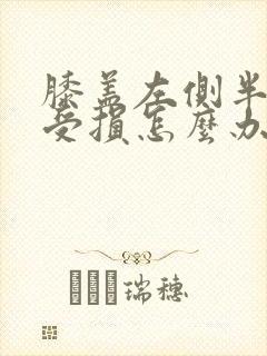 膝盖左侧半月板受损怎么办