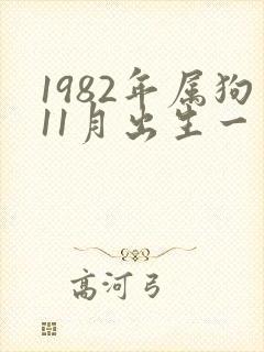 1982年属狗11月出生一生命运