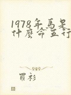 1978年马是什么命五行属什么