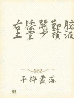 右膝关节腔及髌上囊少积液怎么办