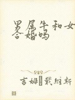 男属牛和女属兔合婚吗