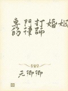 专门打婚姻官司的律师