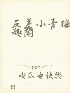 反差小青梅 笔趣阁