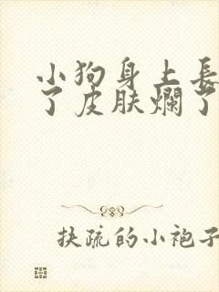 小狗身上长虱子了皮肤烂了怎么治疗