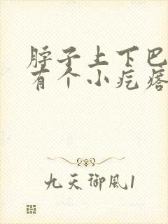 脖子上下巴底下有个小疙瘩会动