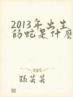 2013年出生的蛇是什么命