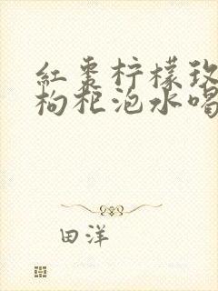 红枣柠檬玫瑰花枸杞泡水喝的功效
