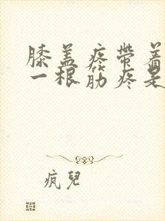 膝盖疼带着大腿一根筋疼是什么病